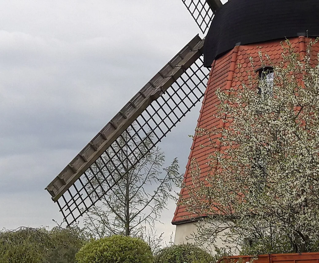 Haushaltshilfe und Alltagshilfe in Meine – die alte Windmühle bei Meine