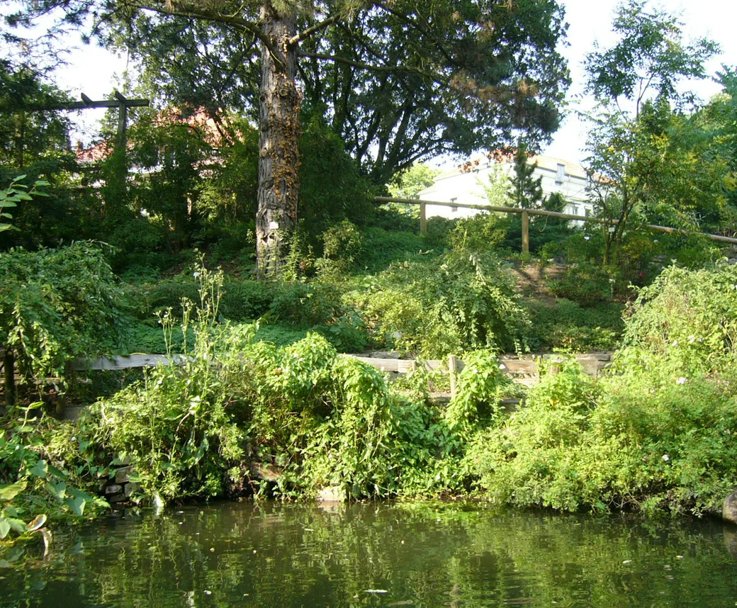 Haushaltshilfe und Alltagshilfe in Braunschweig-Nordstadt – der große Schützenplatz