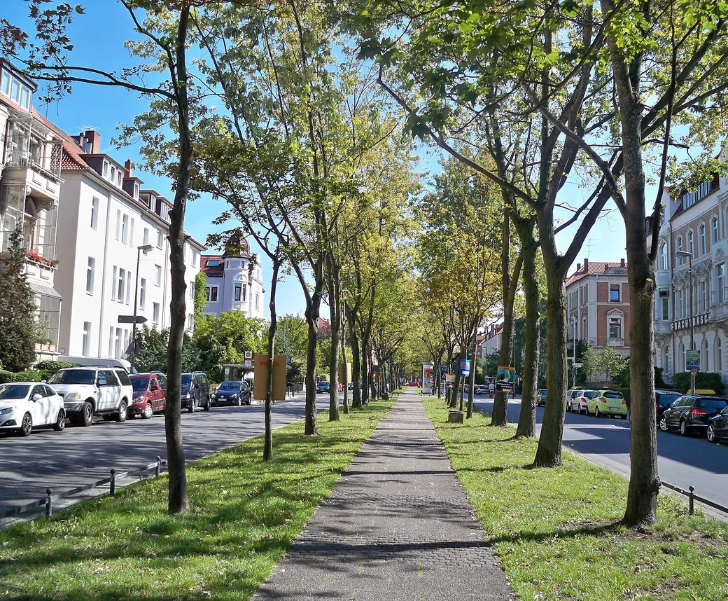 Haushaltshilfe und Alltagshilfe in Braunschweig-Östliches Ringgebiet – die prächtige Jasperallee